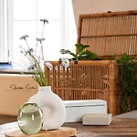 Trendy By Urban 5*
